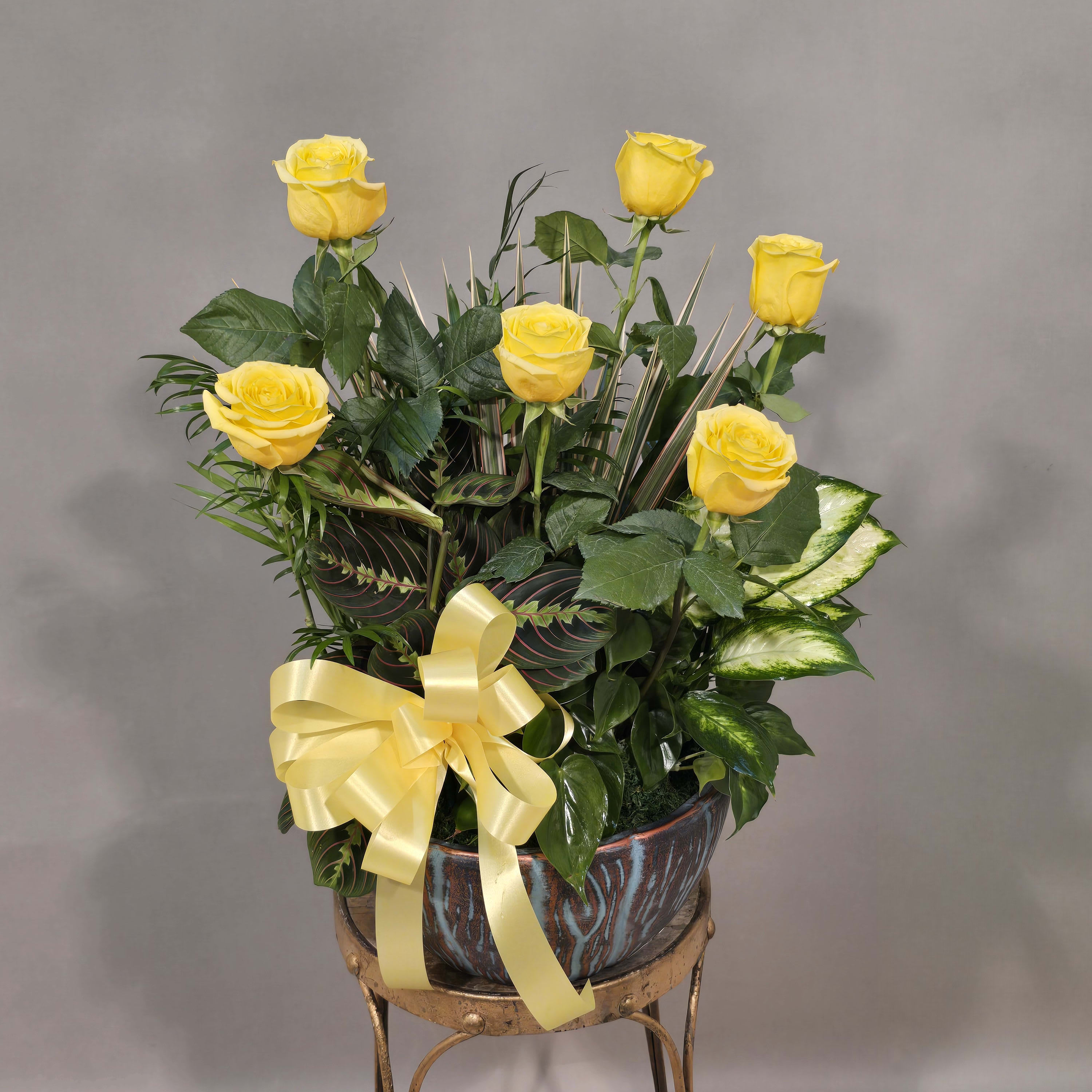 DISH GARDEN WITH 6 YELLOW ROSES