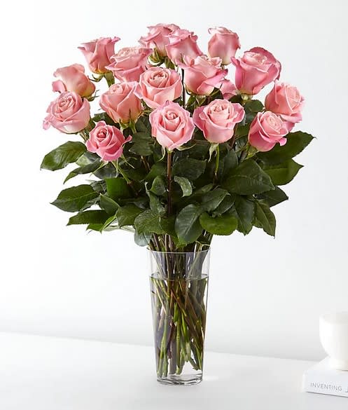 Pink Roses - From