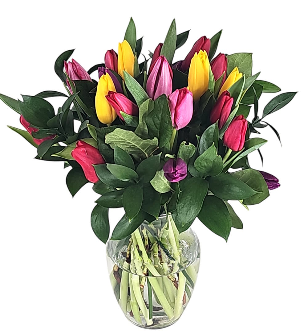 20 Tulips (Colors Vary)