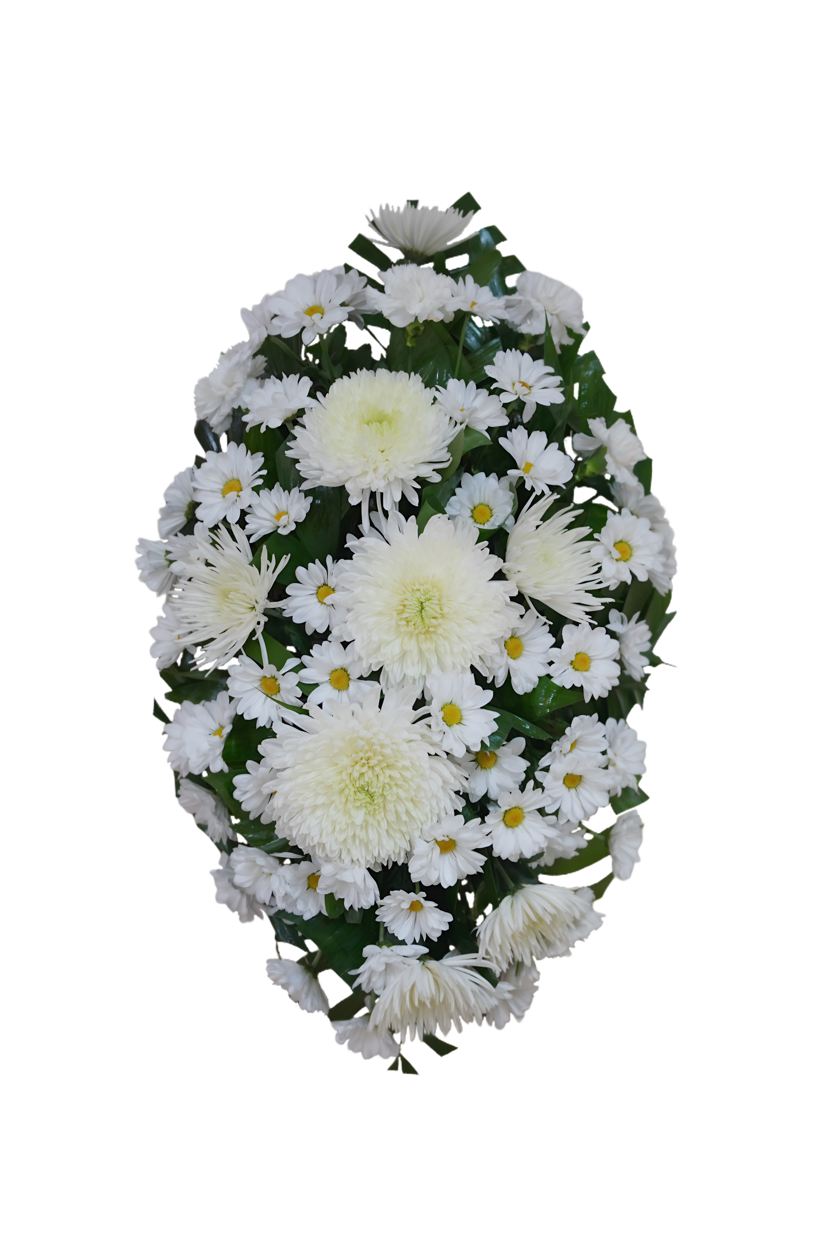 FS-2 Corona de margaritas, claveles, spiders y crisantemos con cinta impresa