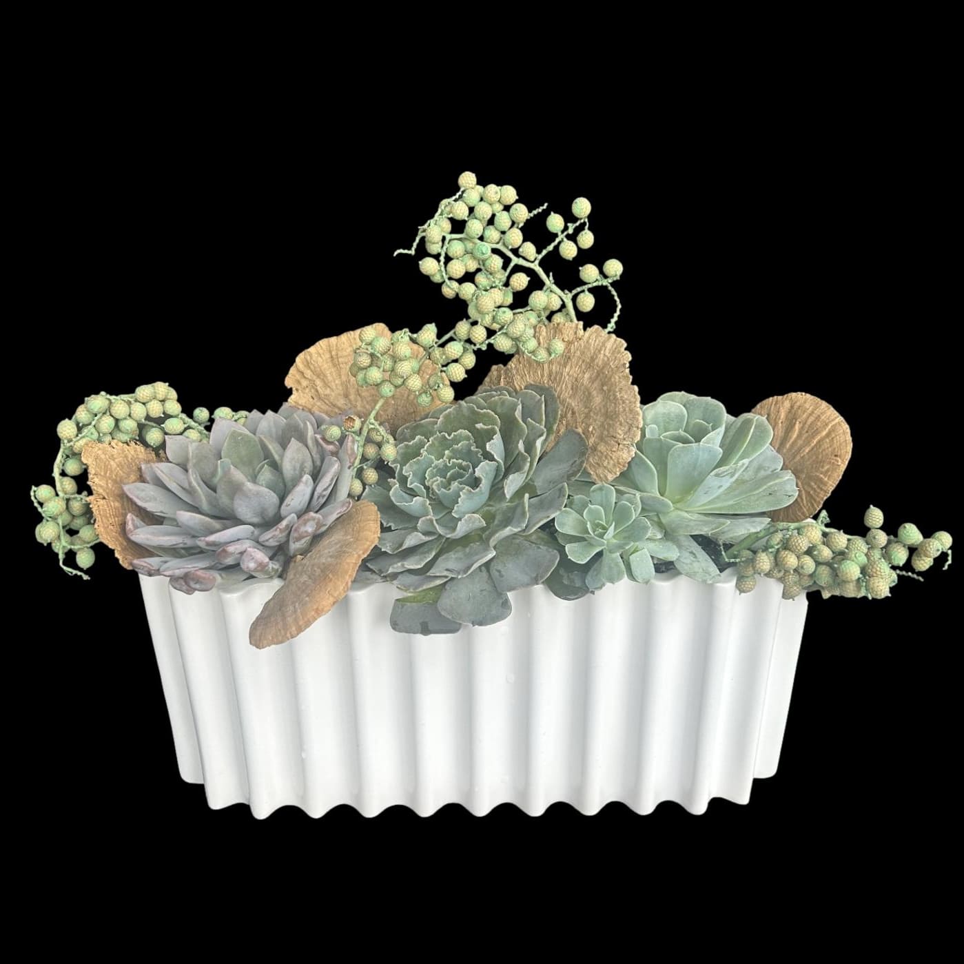 Natural Succulent Planter