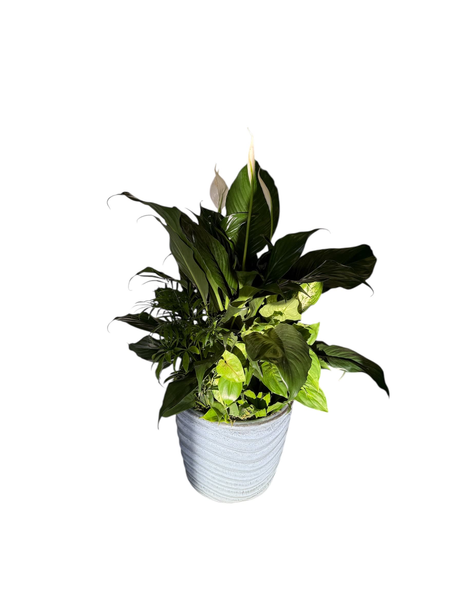 Ceramic Dish Garden Flower Bouquet