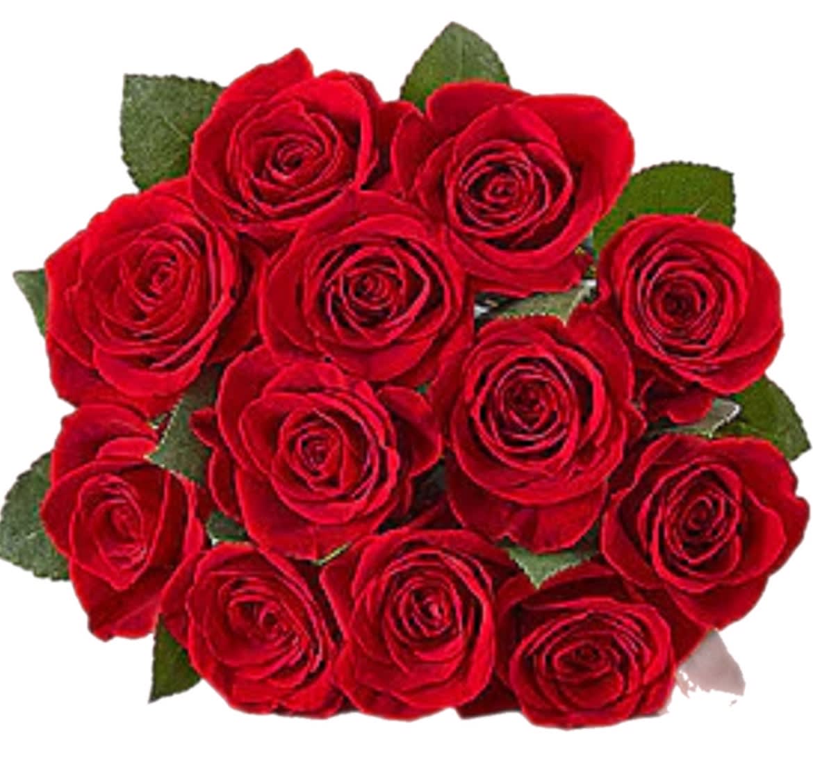 Long Stem Red Roses Wrapped Flower Bouquet