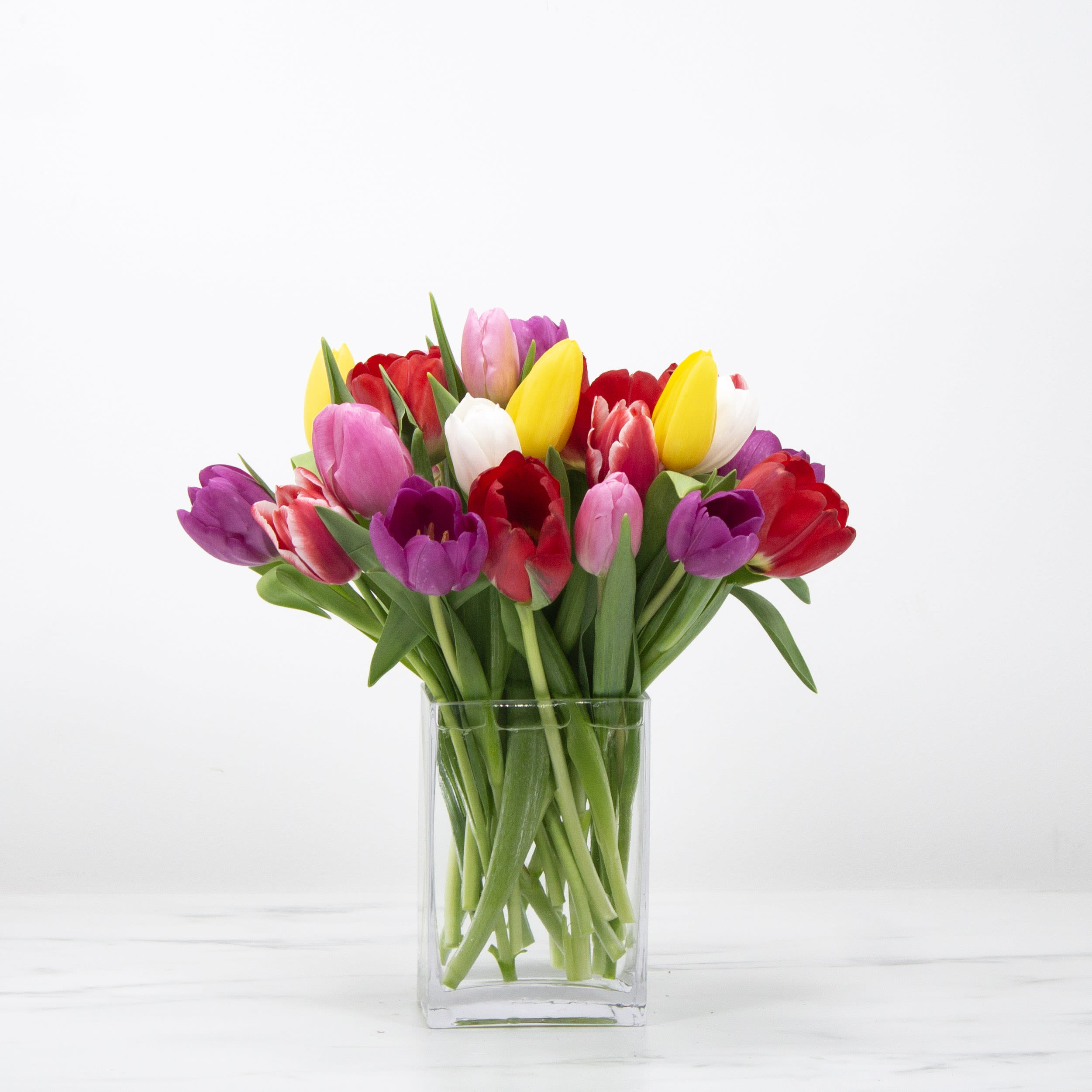 Simply Tulips