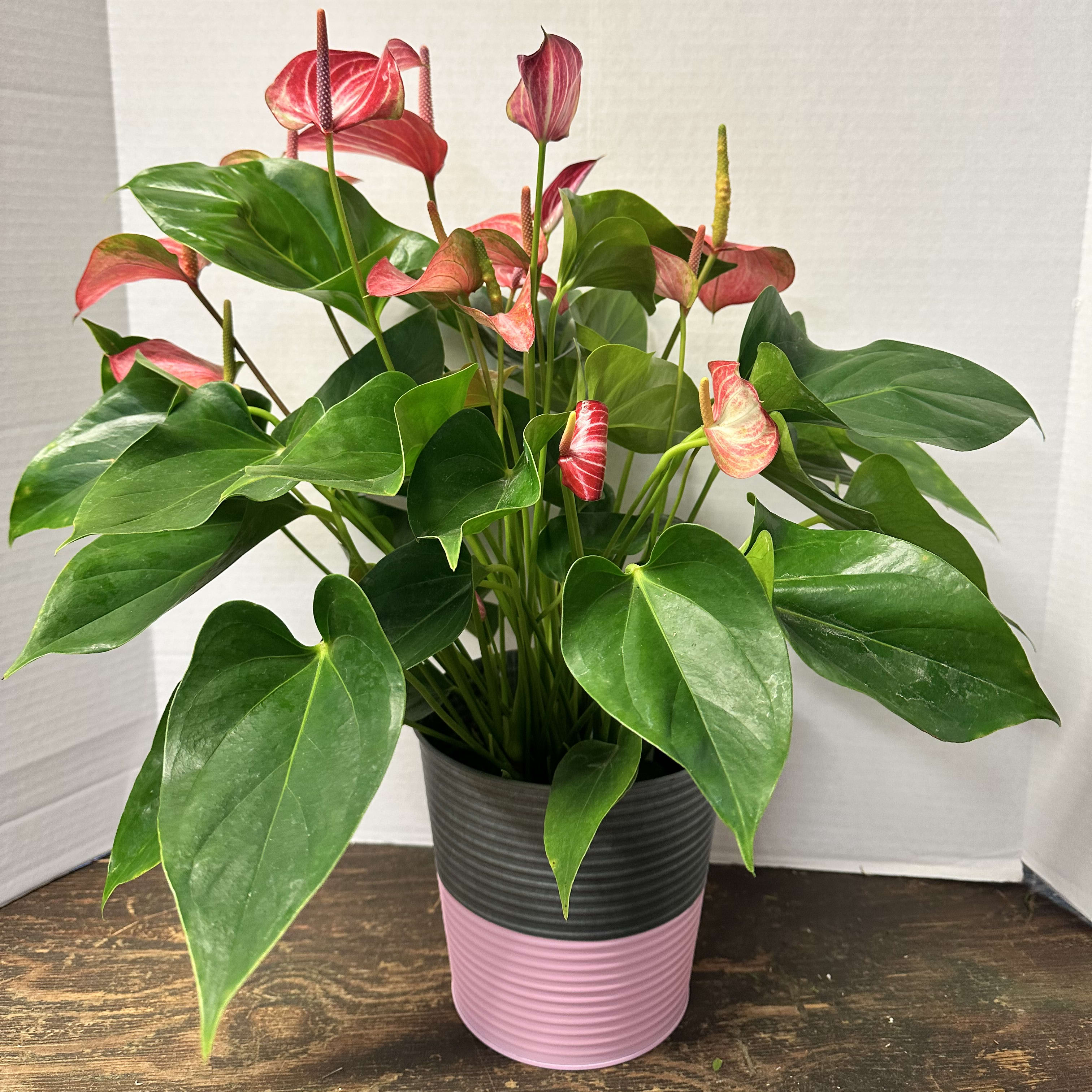 Anthurium Tin Flower Bouquet