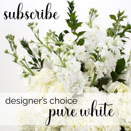 Designer's Choice - Pure White Subscription