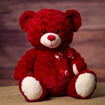 13" Red Valentine Bear