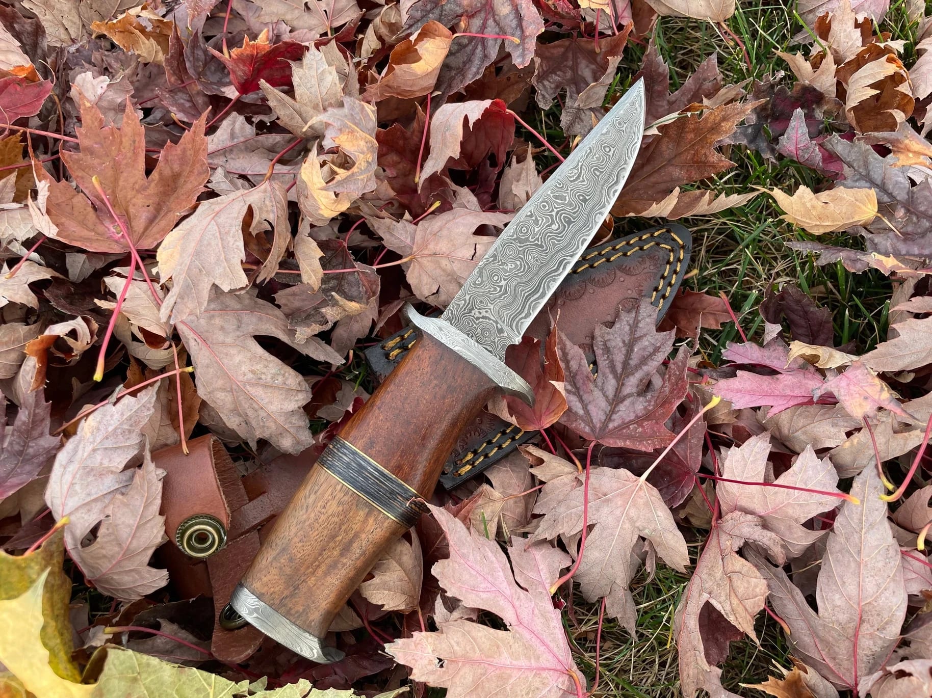 Ironwood Stalker TK-214 Damascus Steel Hunting Knife By Titan International Knives