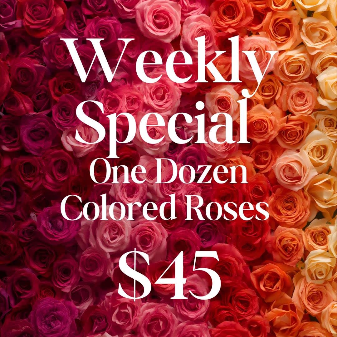Weekly Special Dozen Colored Roses