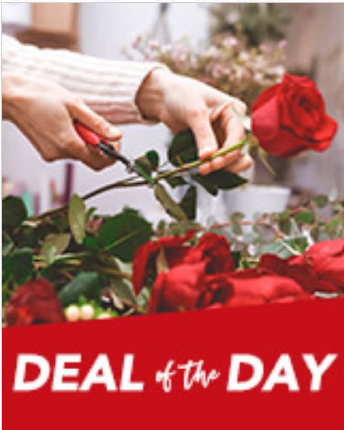 Valentines Day Deal of The Day