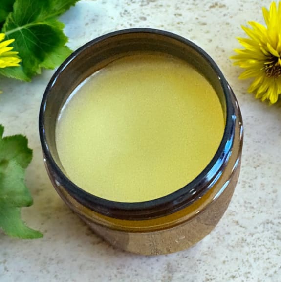 Dandelion Salve
