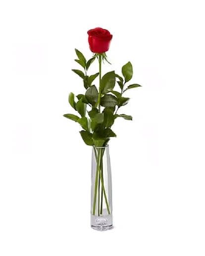 Roses Bud Vase