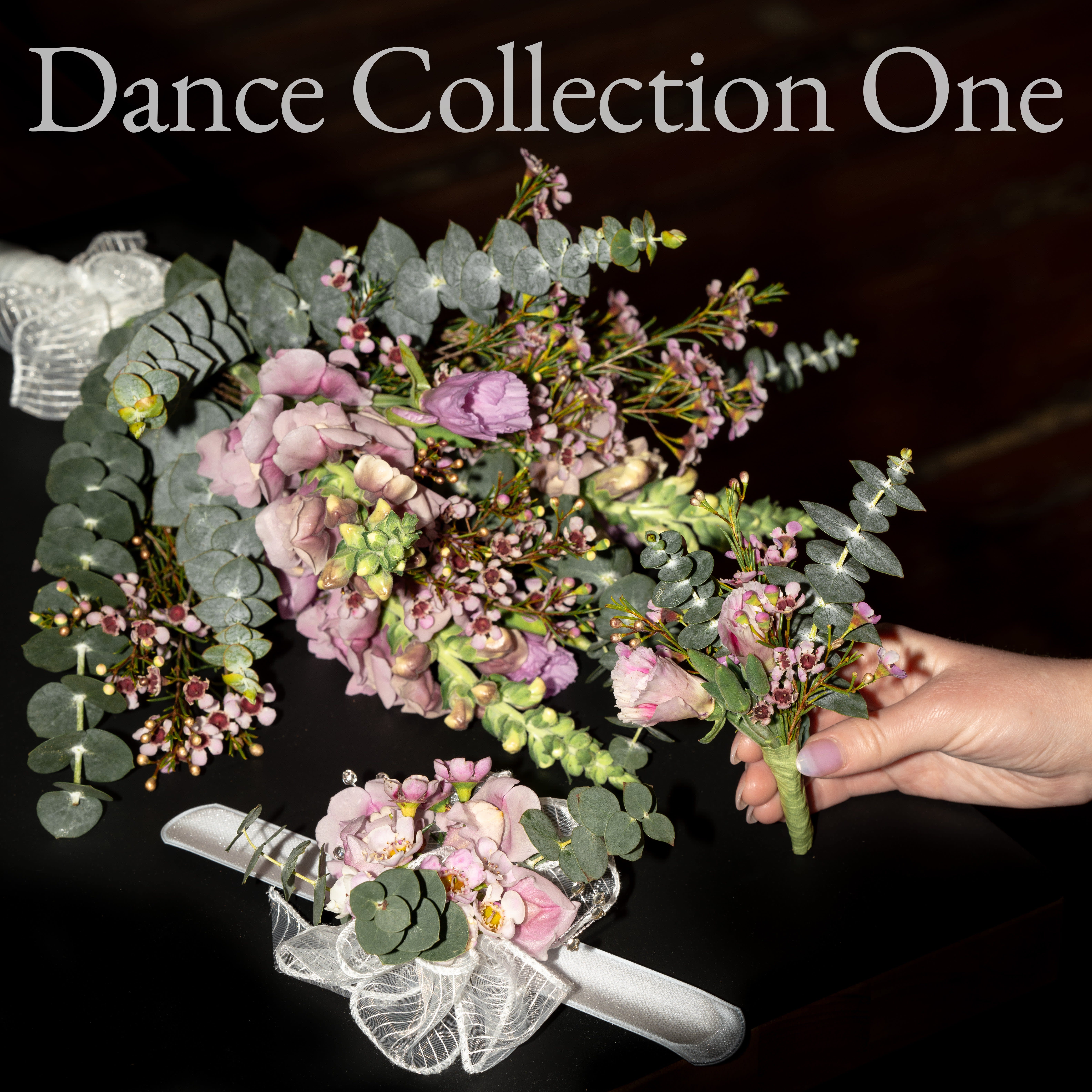 Dance Collection One