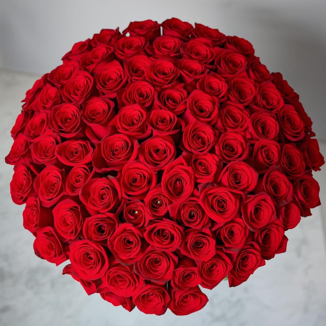 100 Red Roses