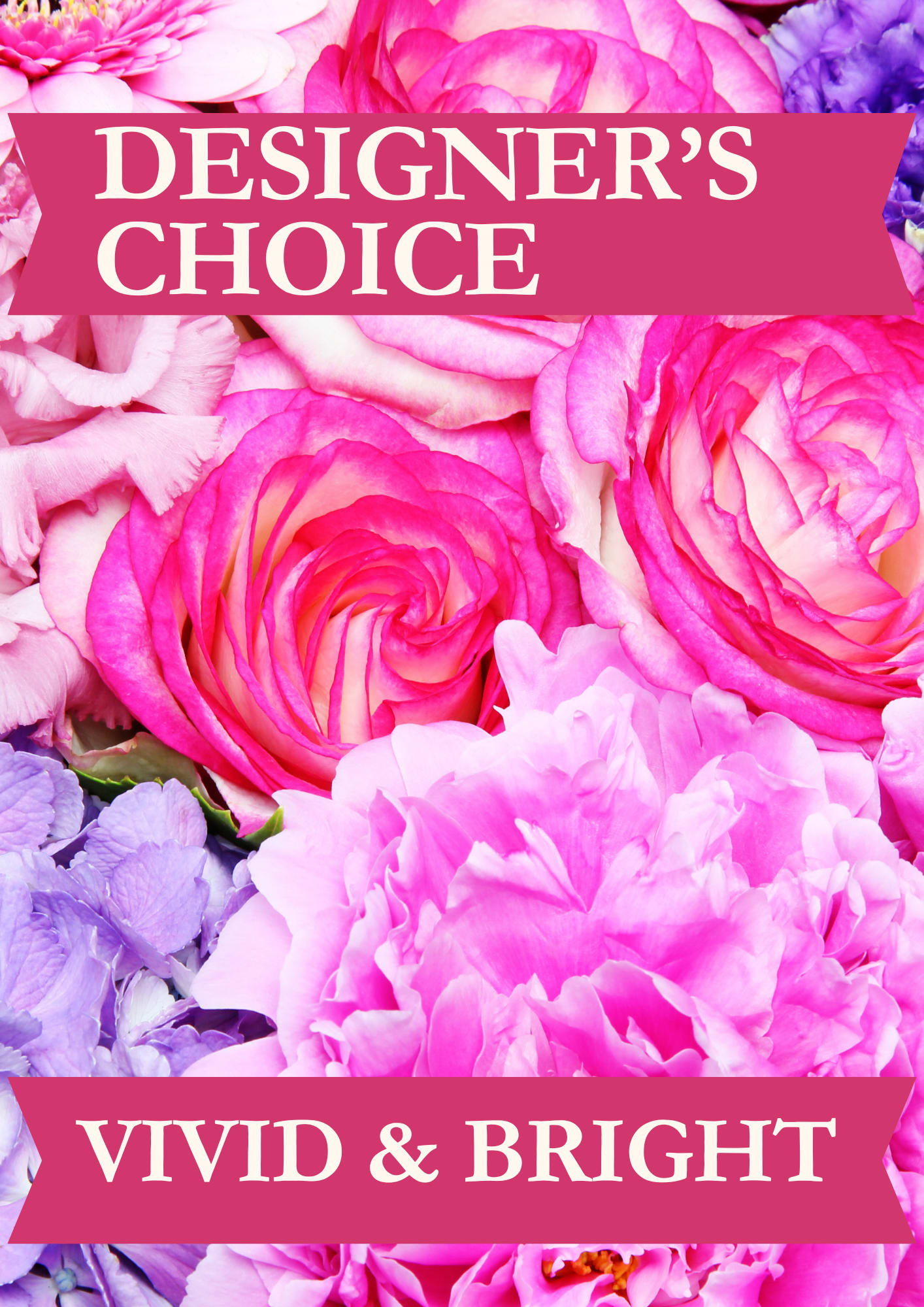 VIVID & BRIGHT