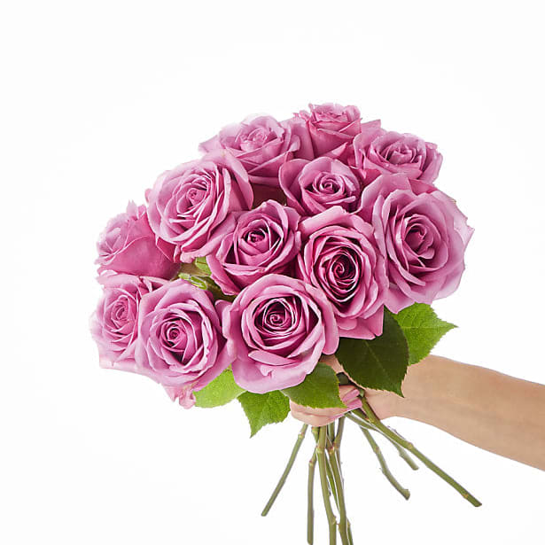 LOVE AT FIRST SIGHT - PREMIUM LAVENDER ROSES WRAPPED BOUQUET