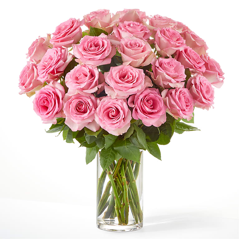 PINK ROSES IN A VASE