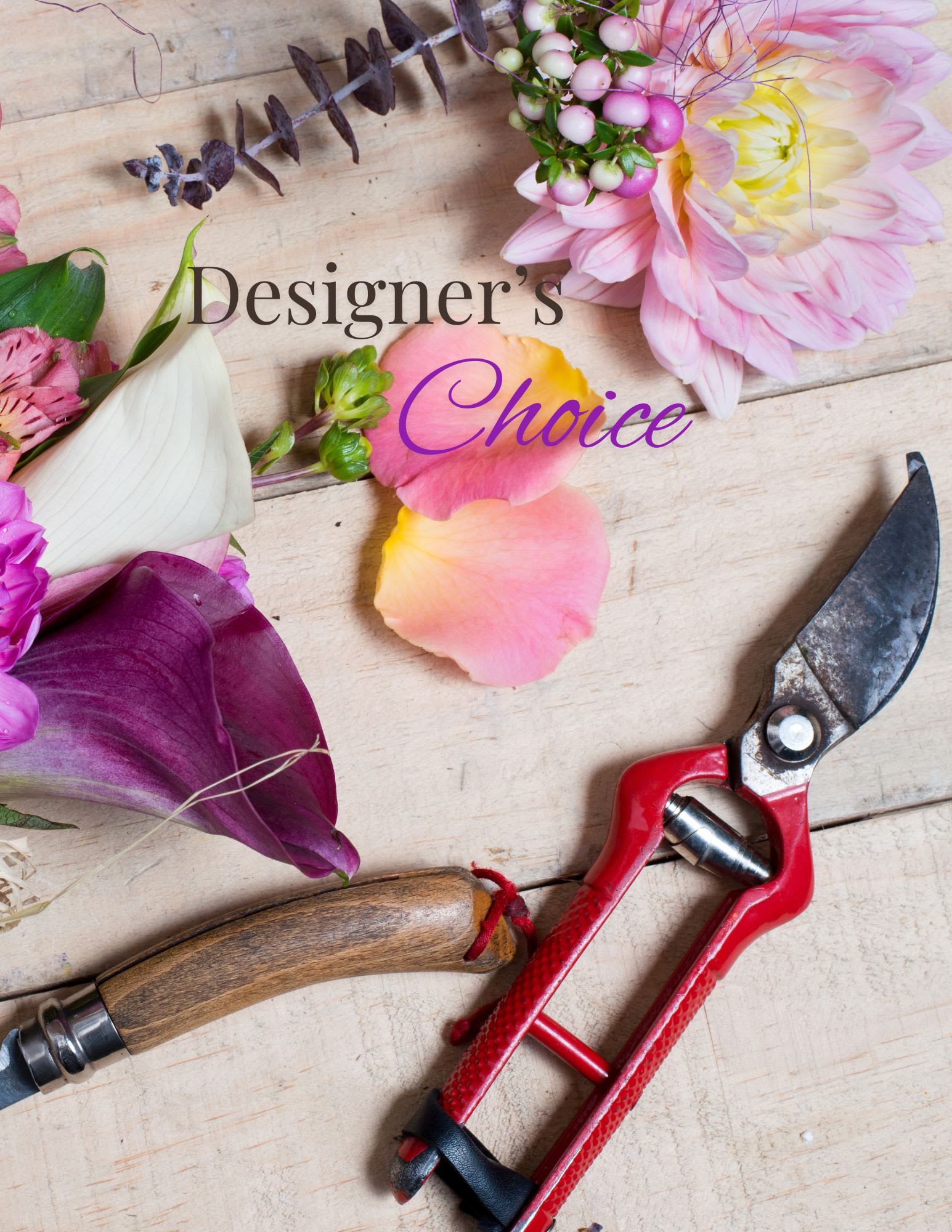 Designer's Choice