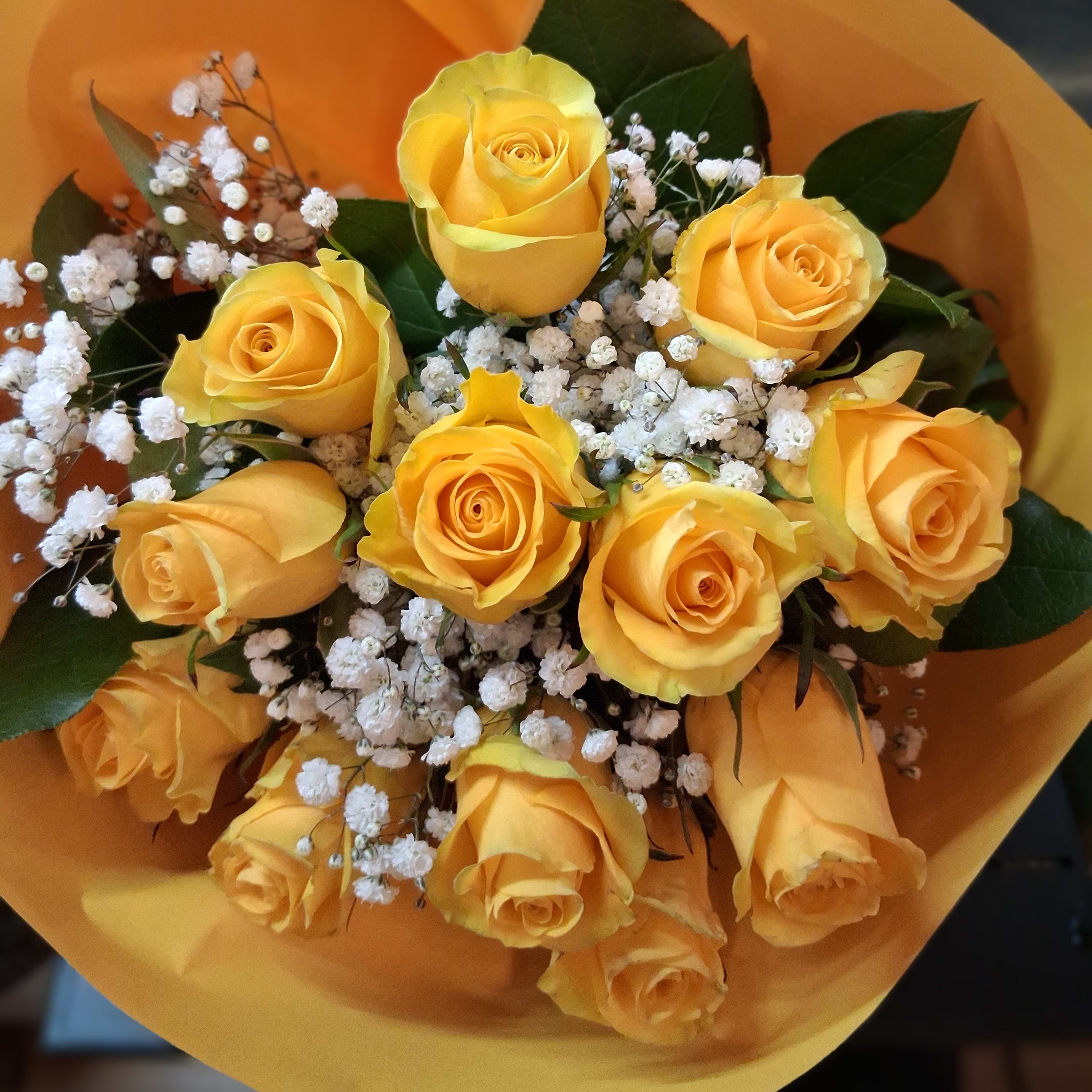 Long stem one dozen Yellow roses