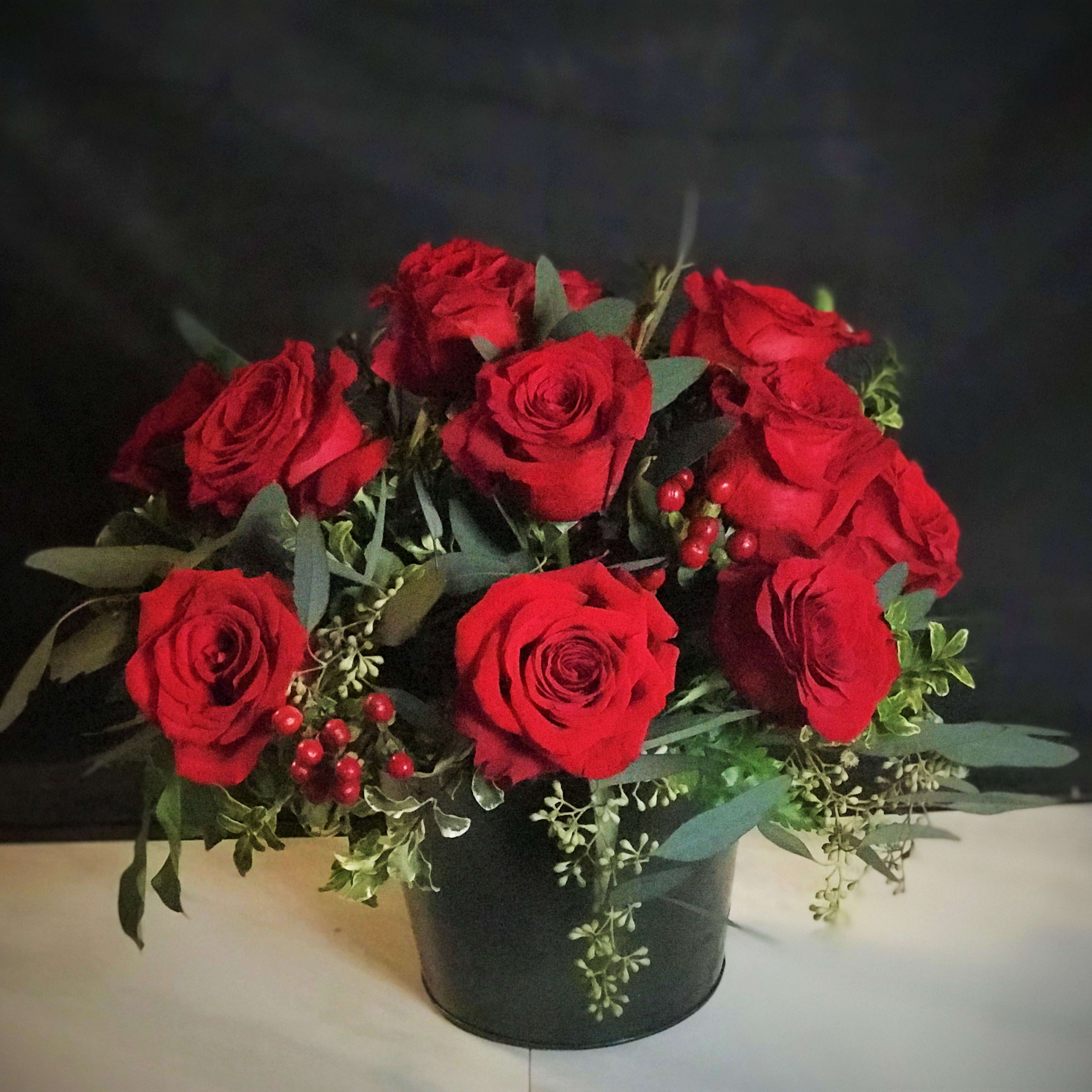 Titanic -1 dozen - low profile