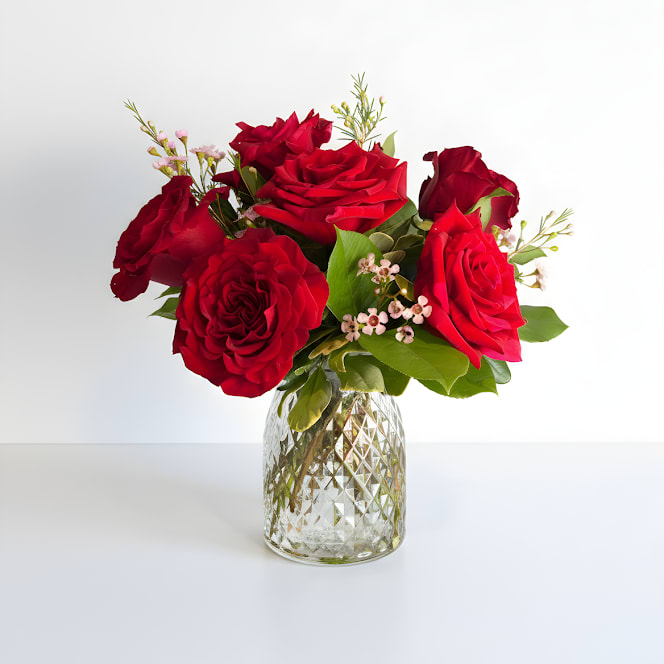 Valentine's Half Dozen Roses