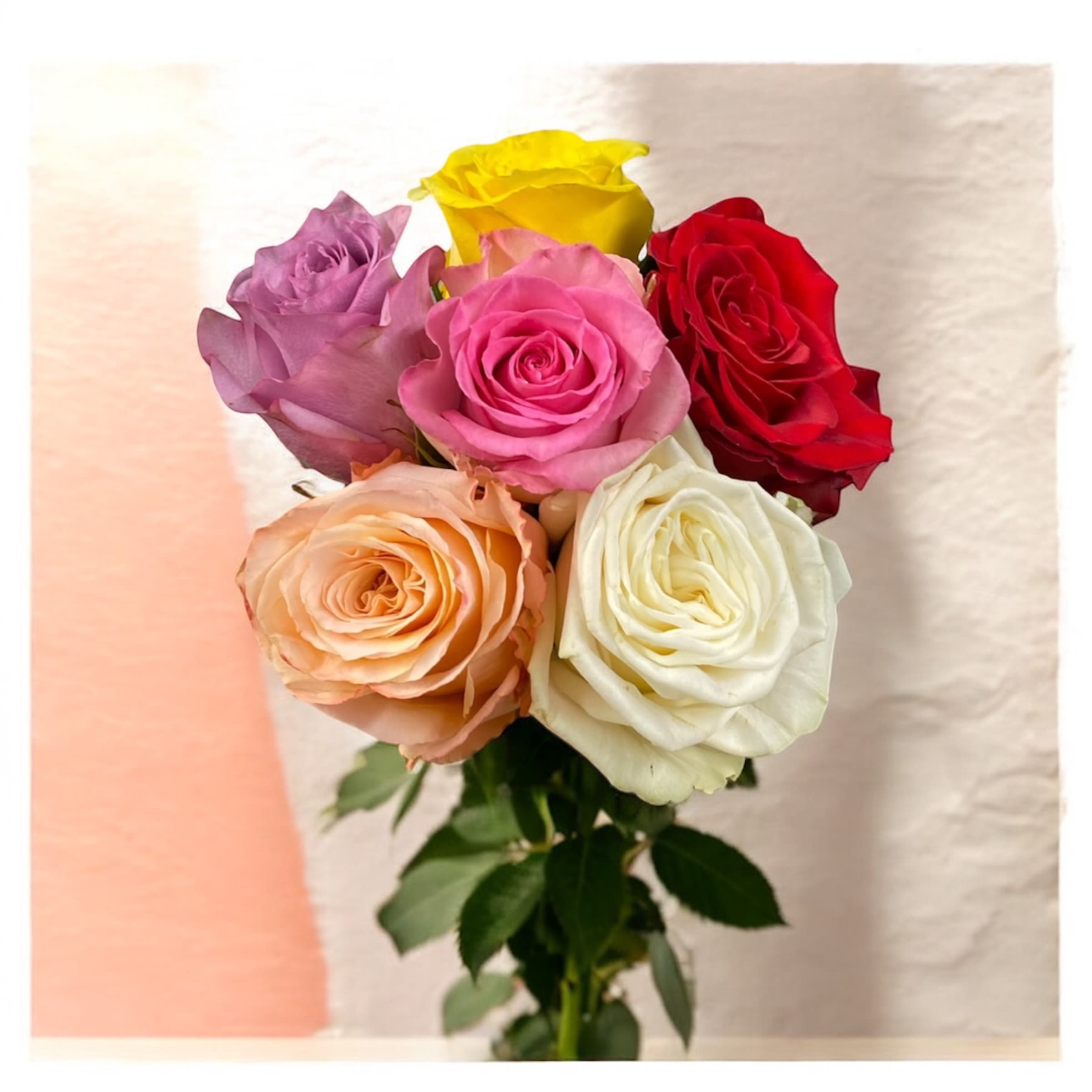 Half Dozen Roses Wrapped Bouquet