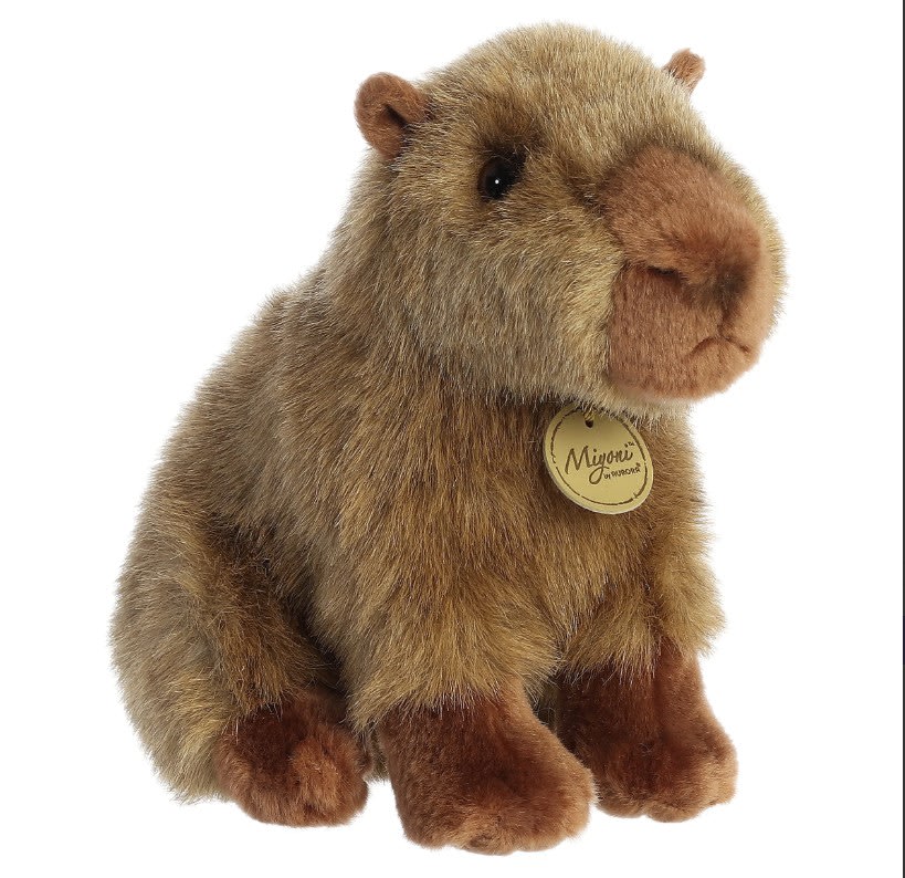 Aurora 9" Capybara Flower Bouquet