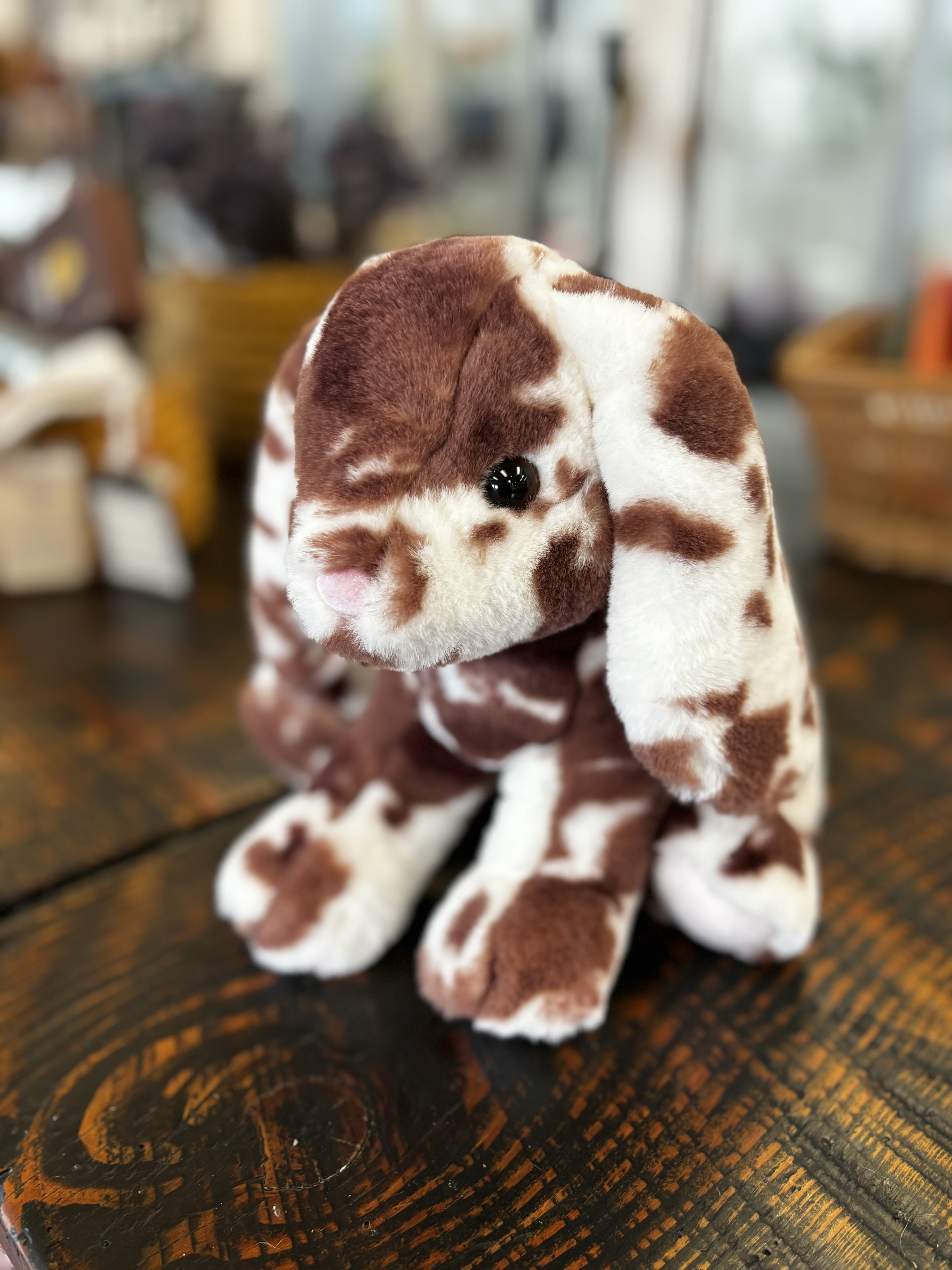 Faith the Floppy-Eared Bunny