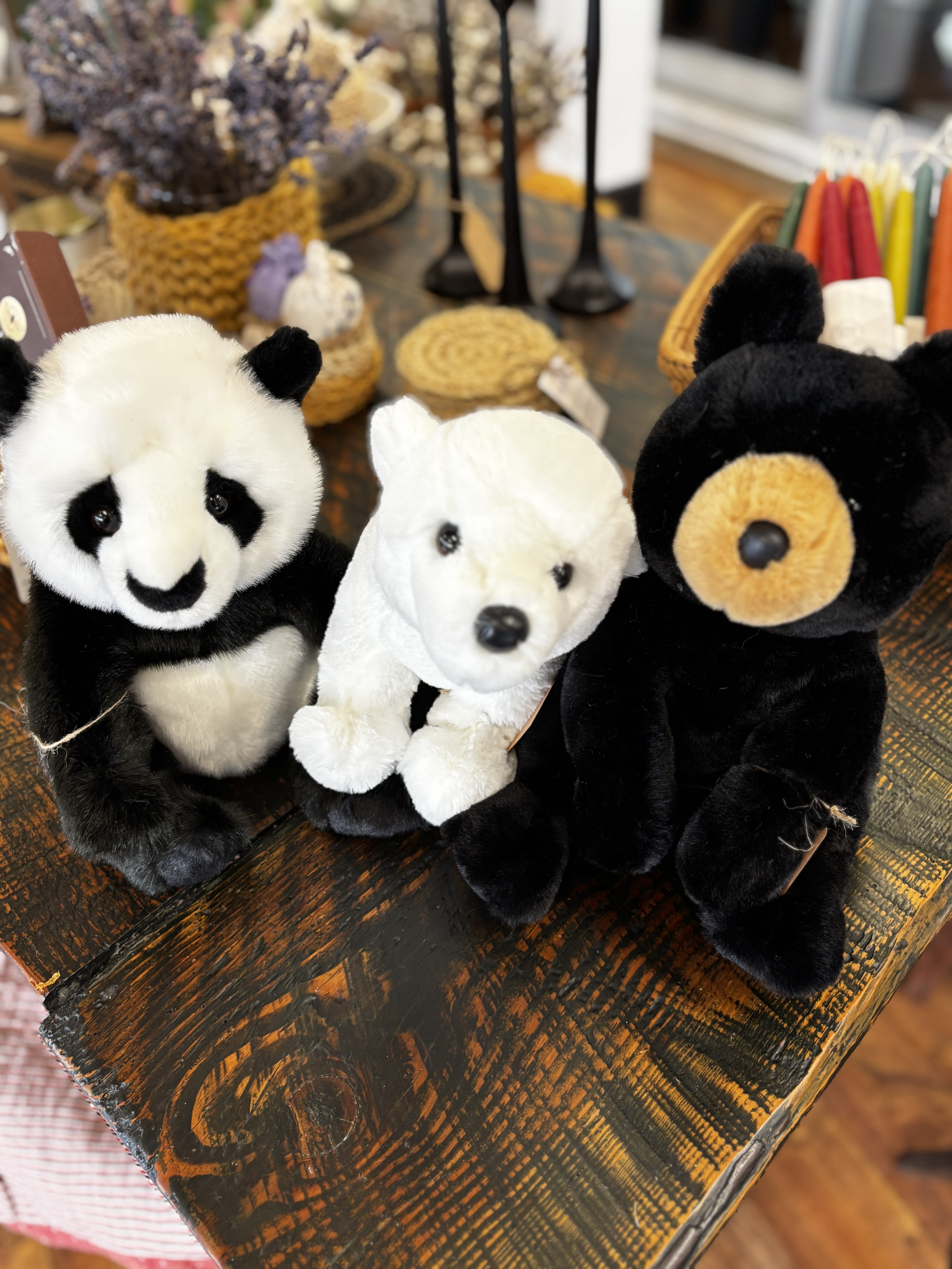 Beary the Brown Bear