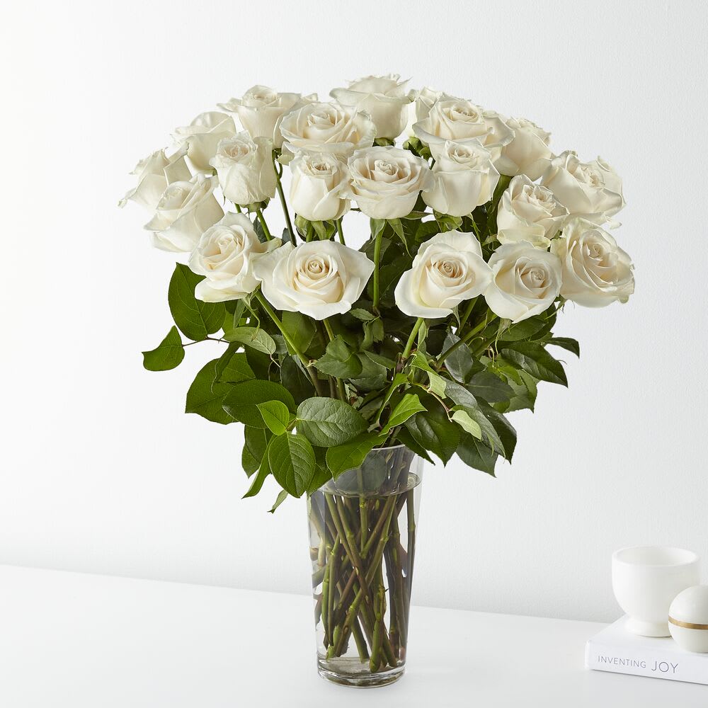 Long Stem White Roses
