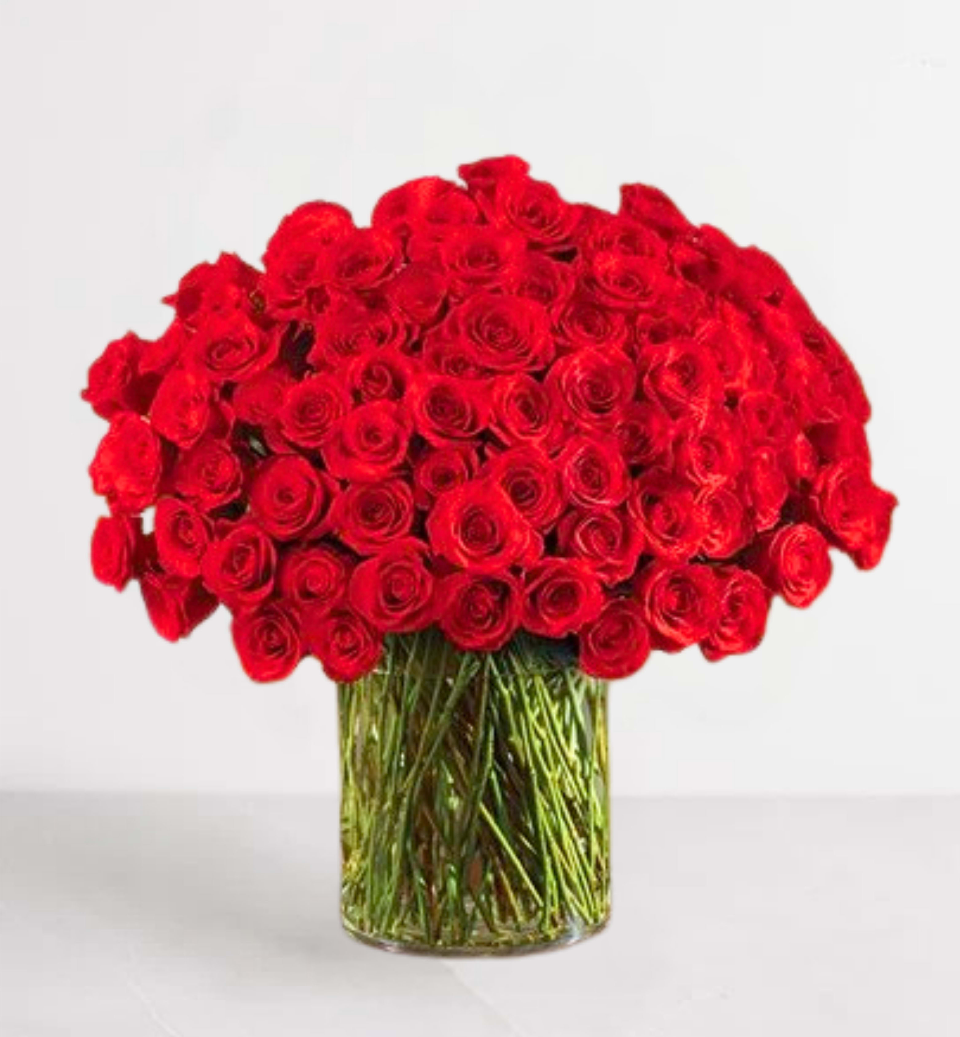 100 Stem Rose Vase