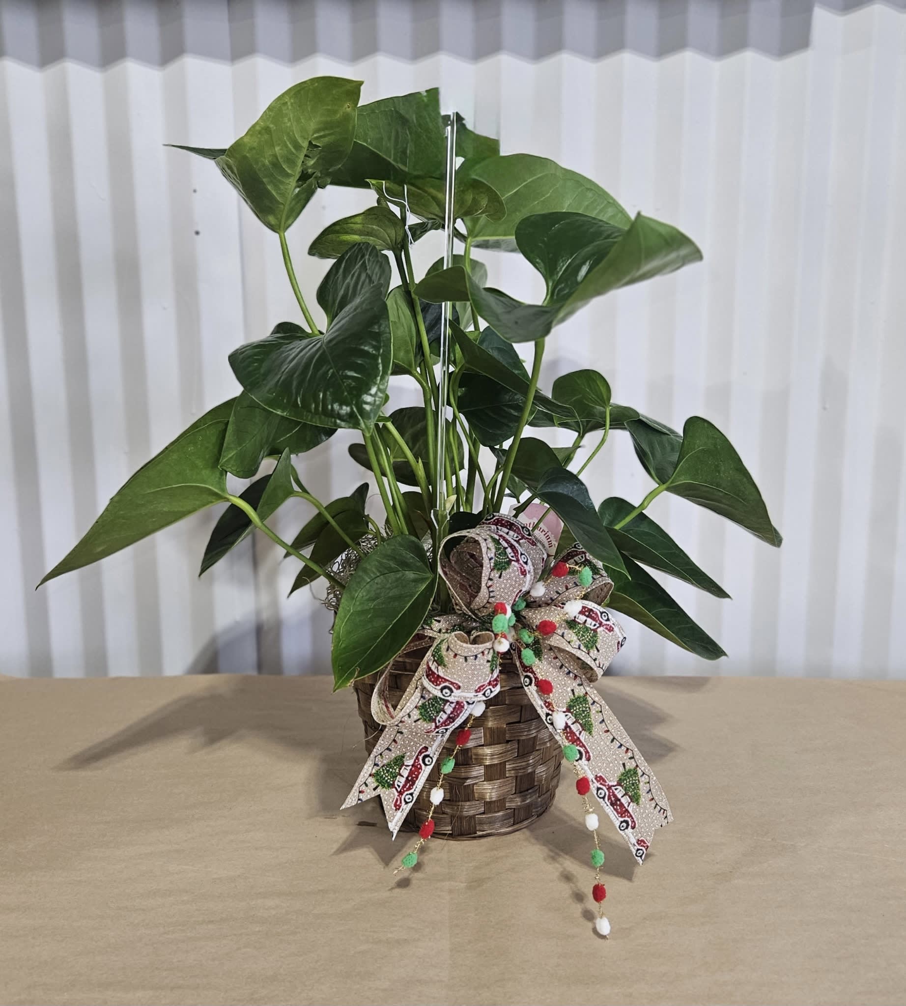 Small Plant + Bow Flower Bouquet