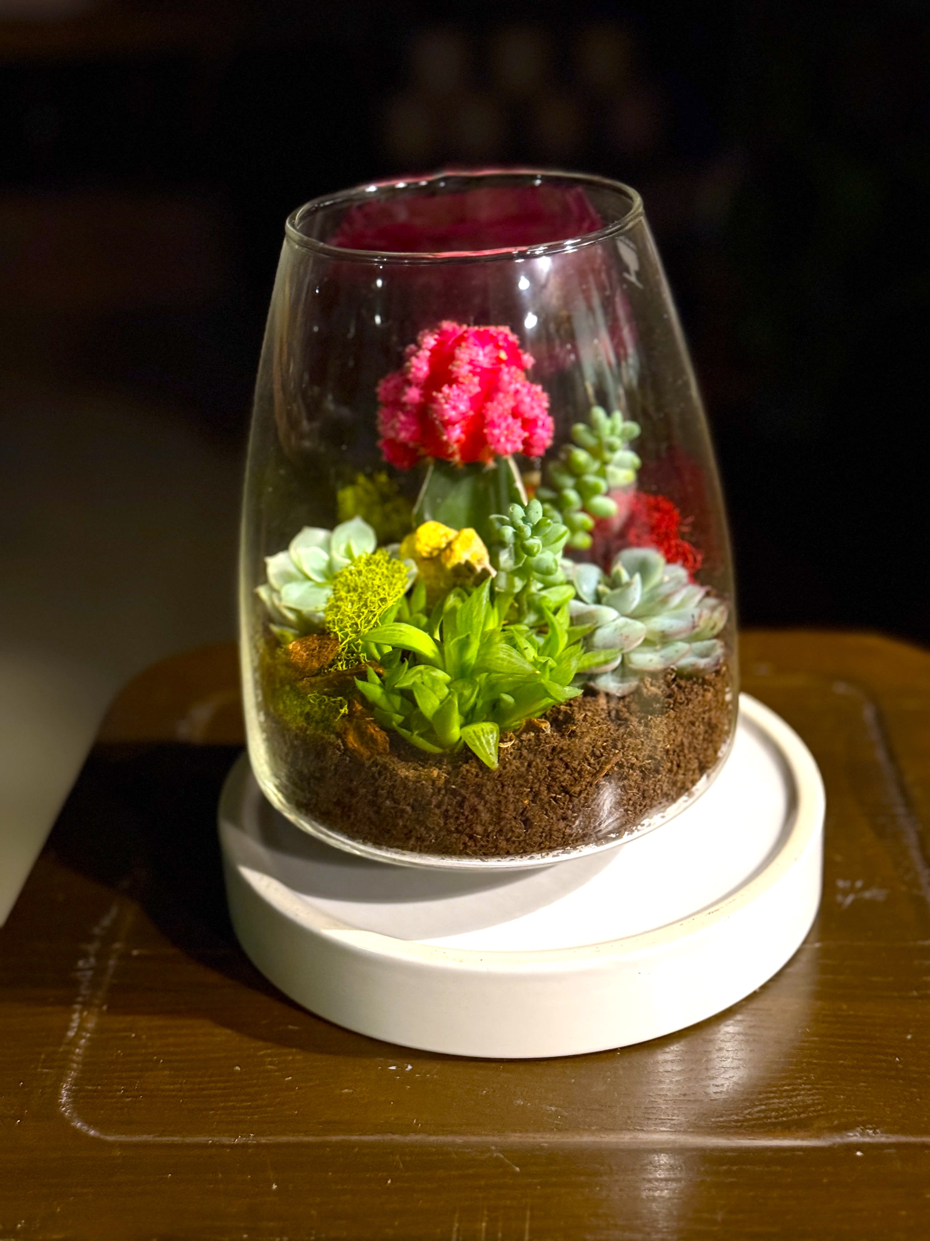 Diamond Succulent Terrarium