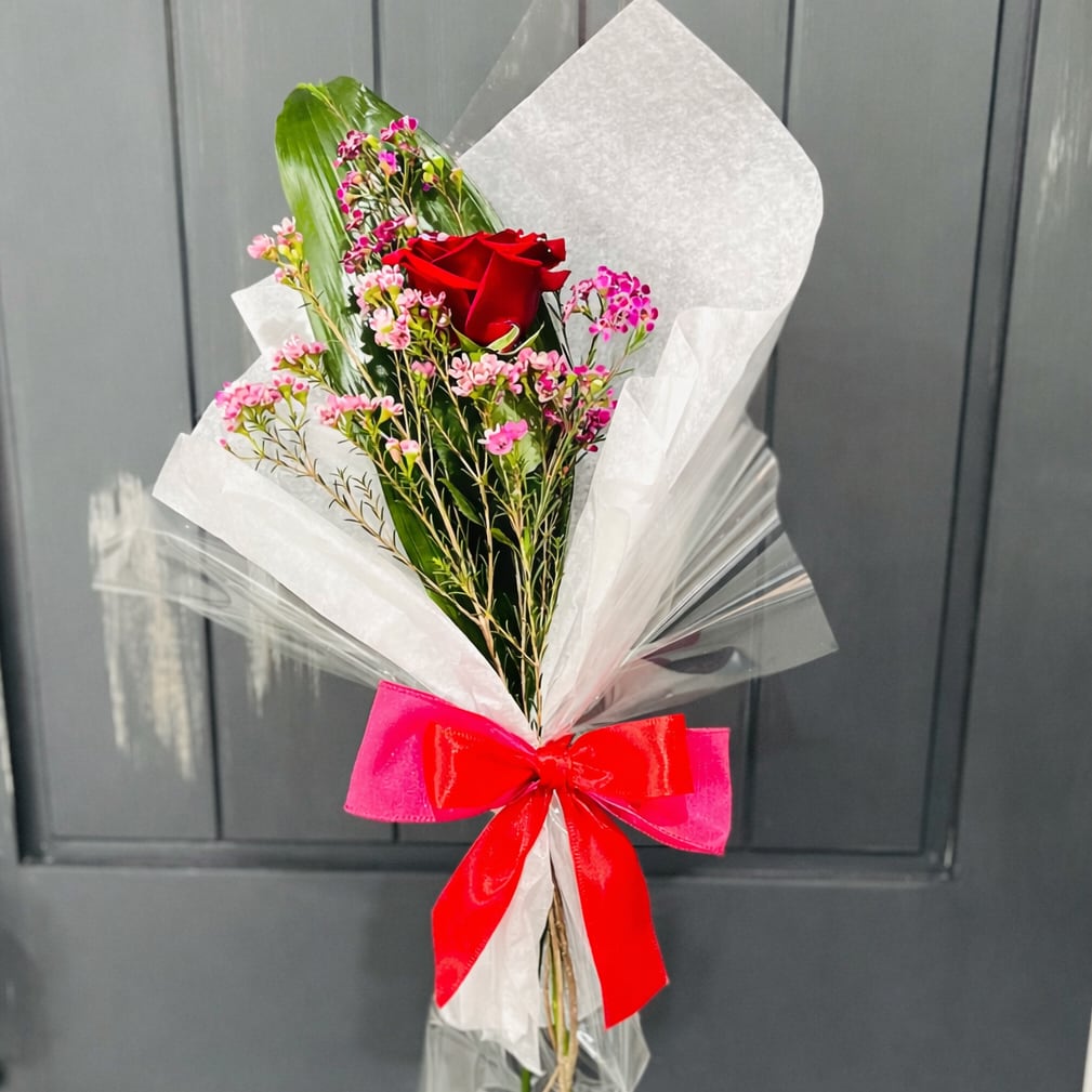 Single Valentine Rose Wrapped