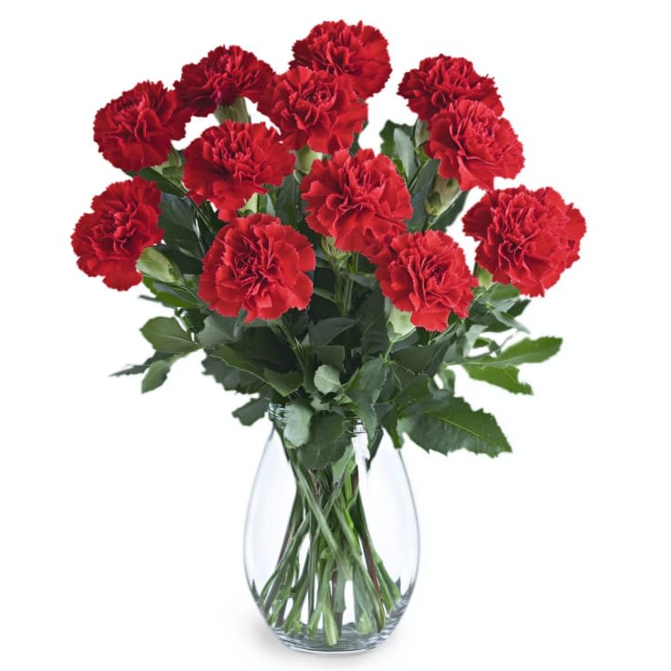 Classic Red Carnations