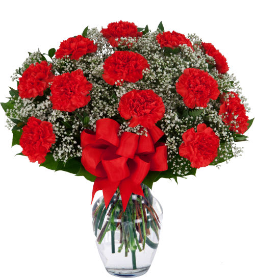 Classic Red Carnations