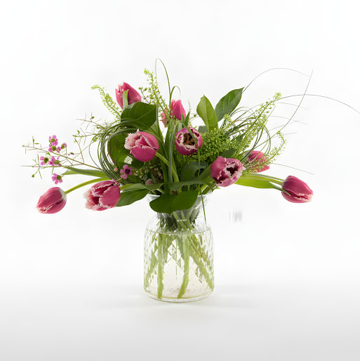 Locally Grown in Maine Tulips