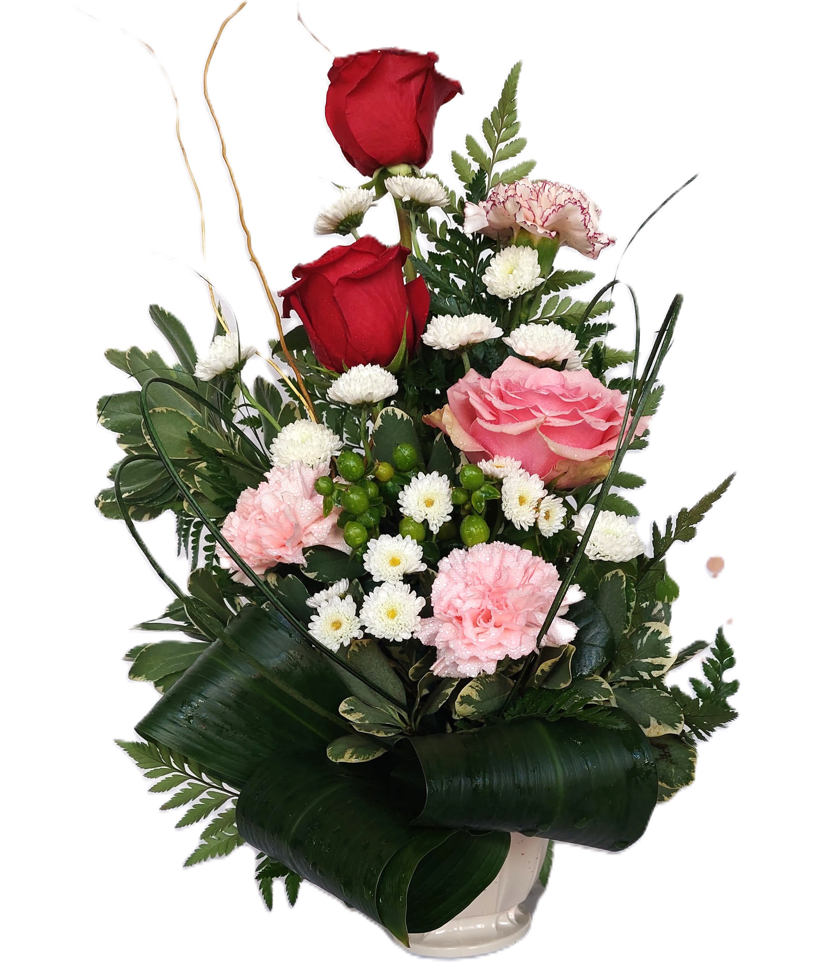 3 Roses 3 Carnations