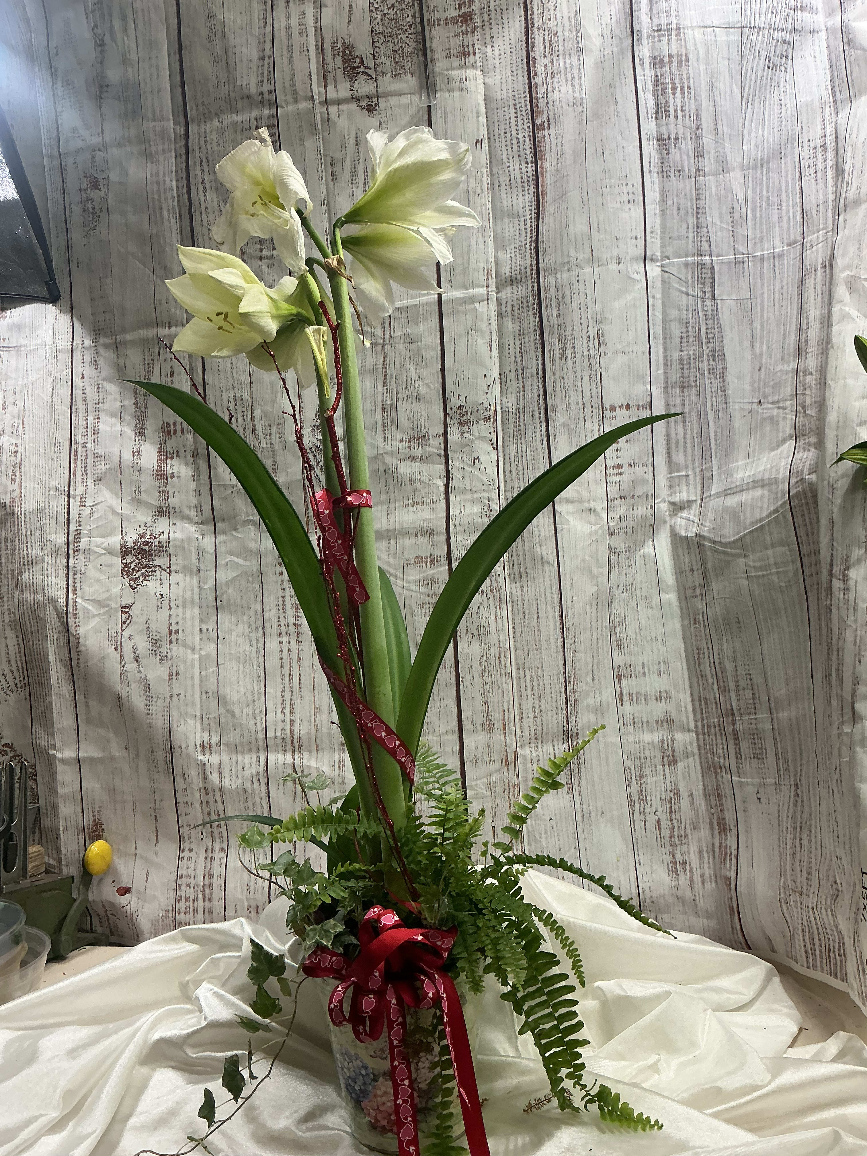 Amaryllis Garden Flower Bouquet