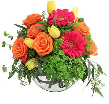 Rainbow Soiree Flower Bouquet