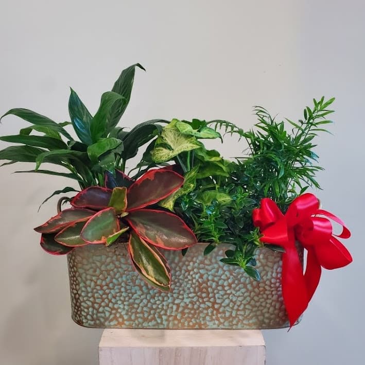 Tropic Gift Planter Flower Bouquet
