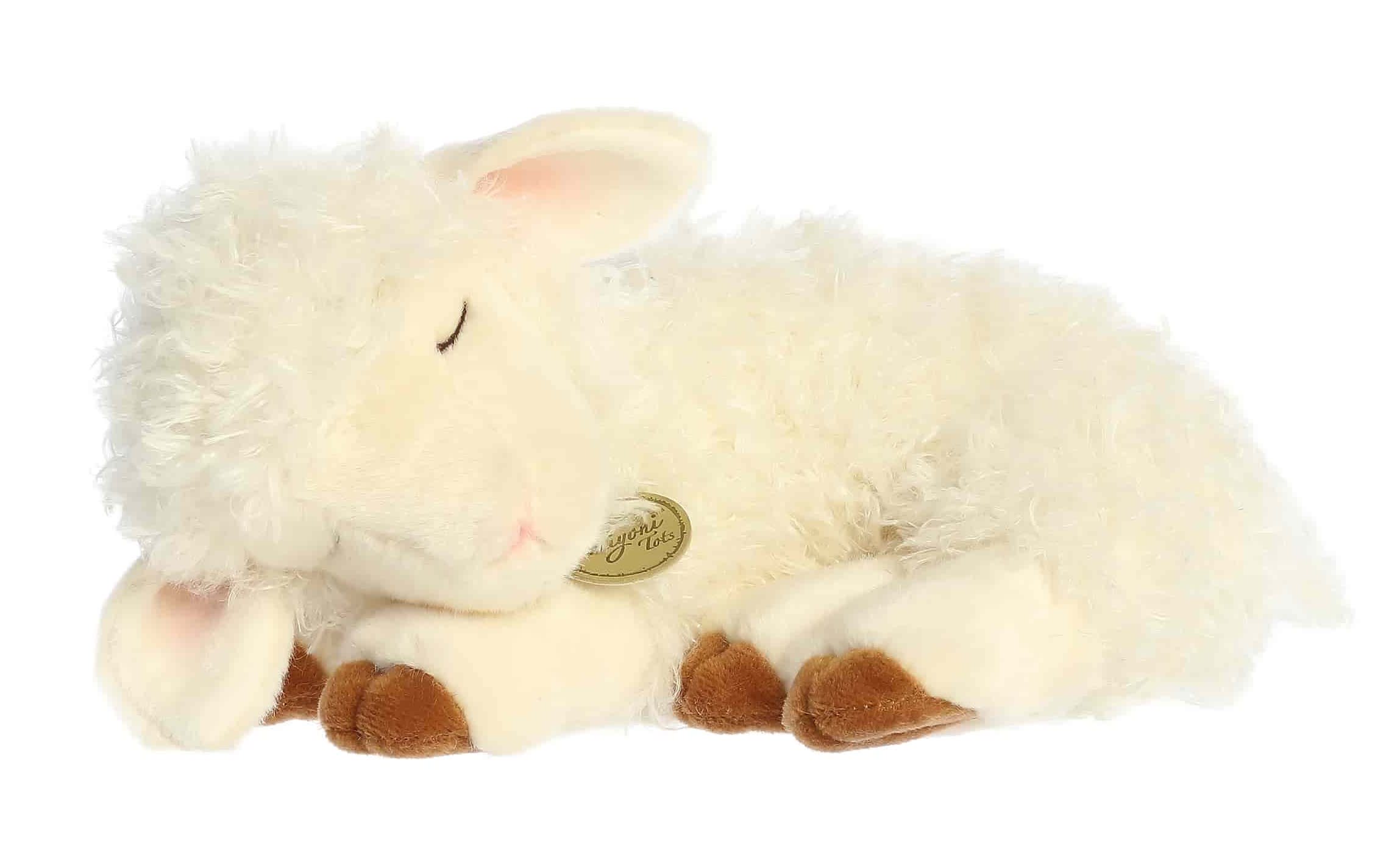 Sleepy Lamb