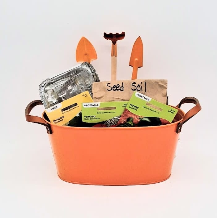 Salsa Garden Starter Kit