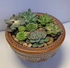Succulent Dish Garden Flower Bouquet