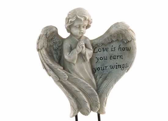 Love is how you earn your wings 