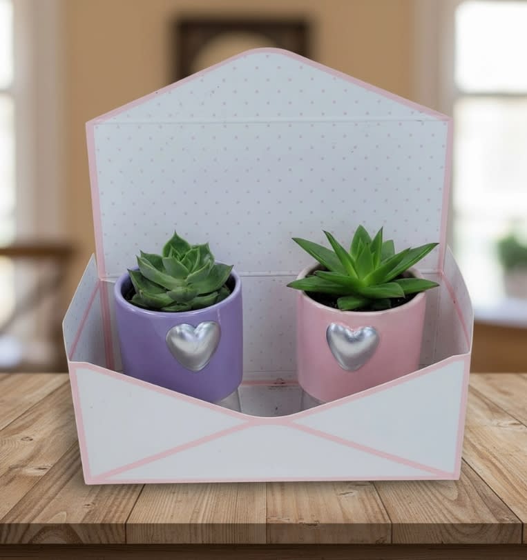 Green Thumb Gift from the Heart Flower Bouquet