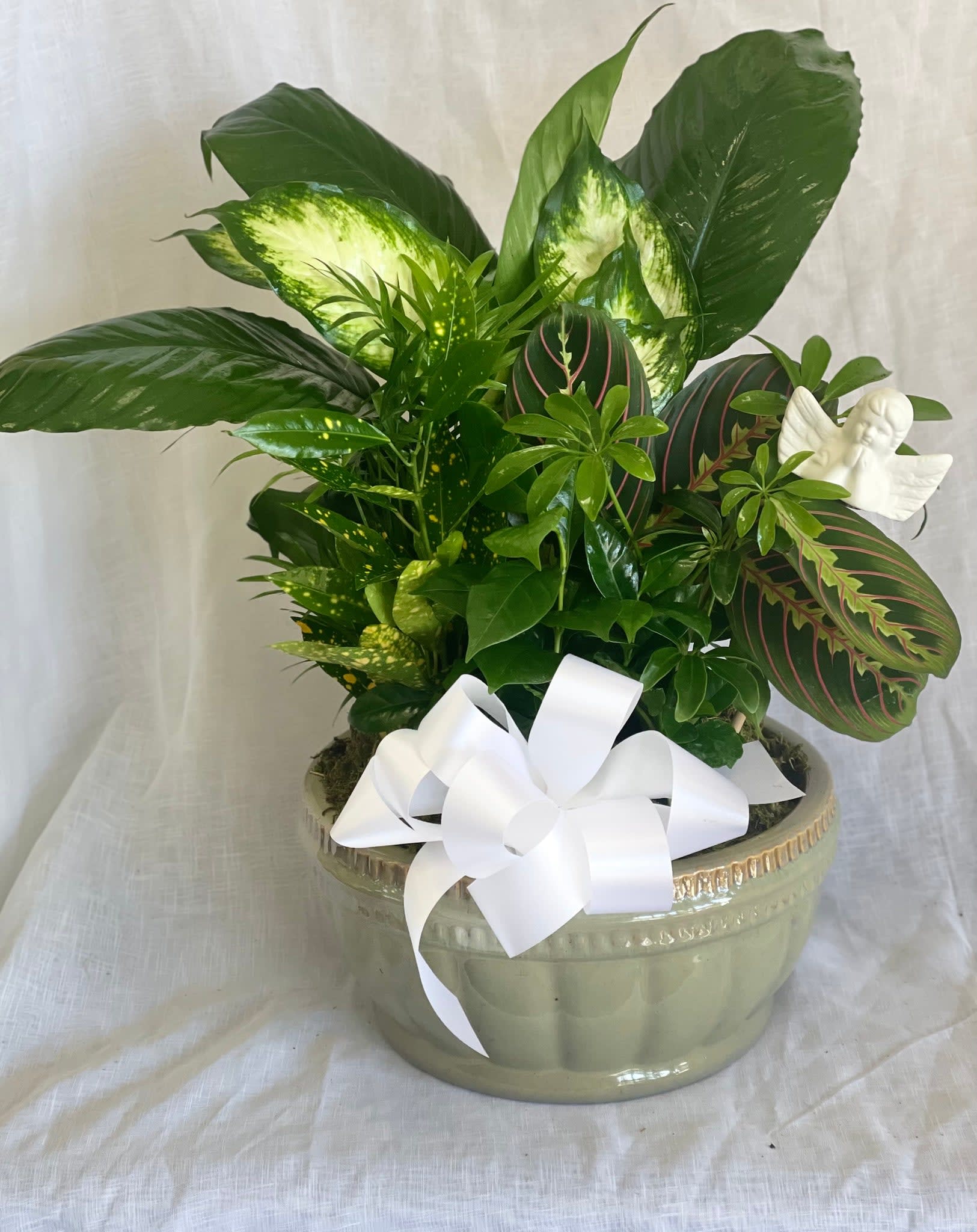 Sympathy Dish Garden - 10" Ceramic Container