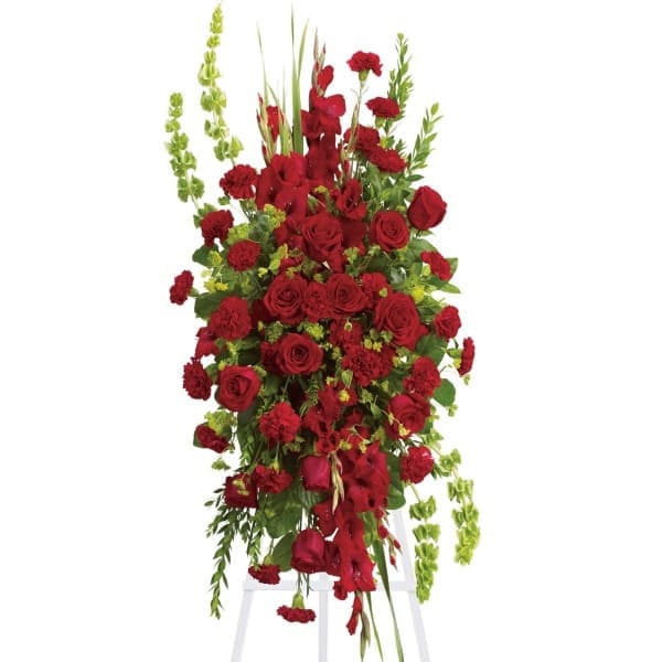 Kings Curtain of Rubies Spray