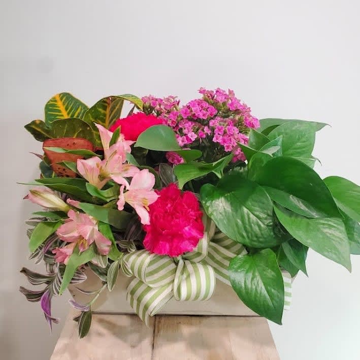 Bursting Forward Planter