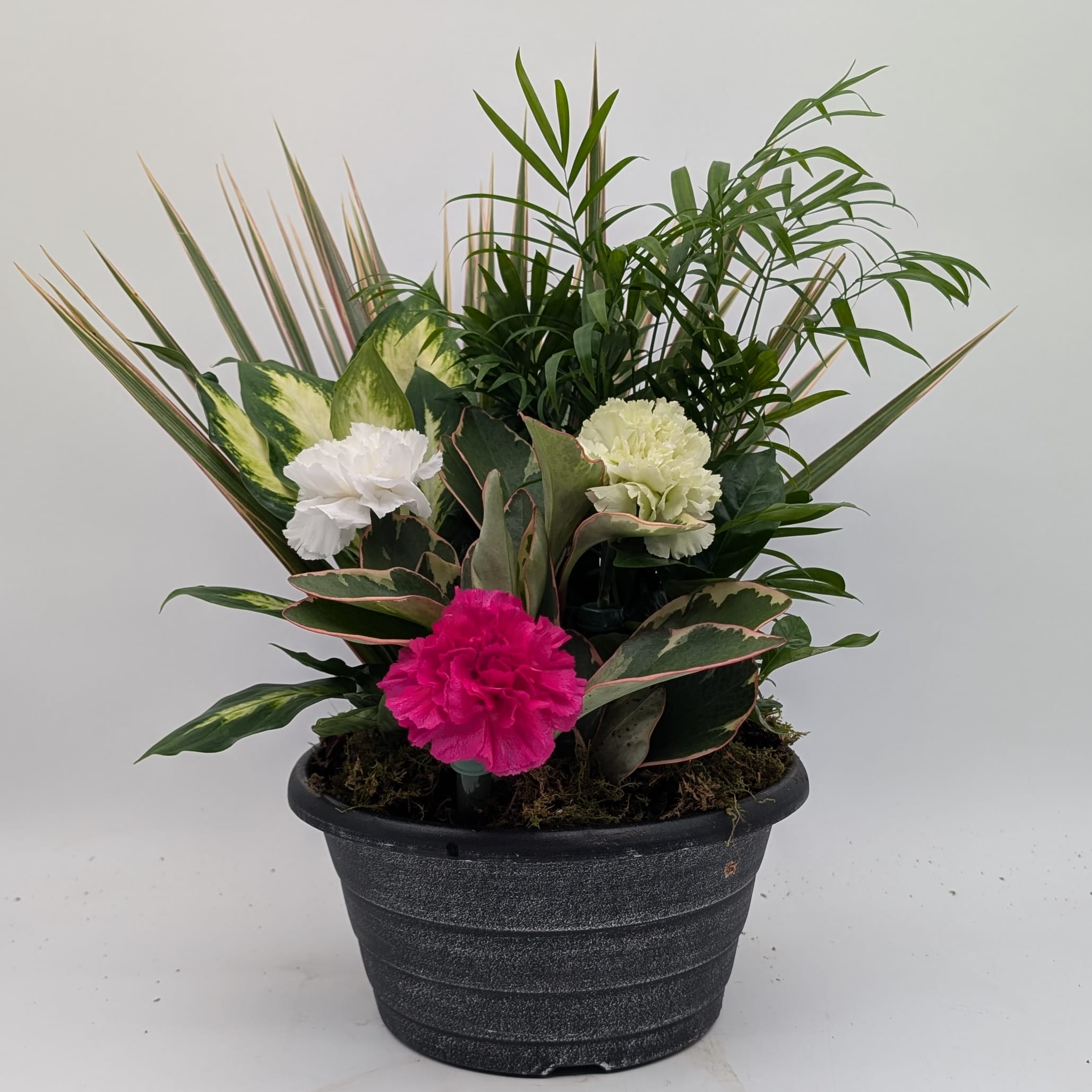 Small Round Dish Garden Flower Bouquet